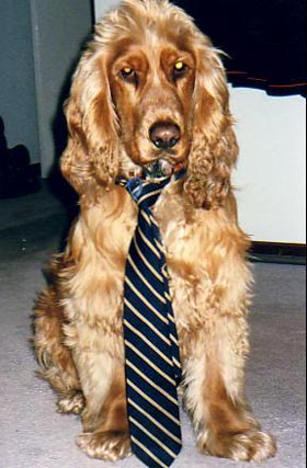 Humphrey Ready for School